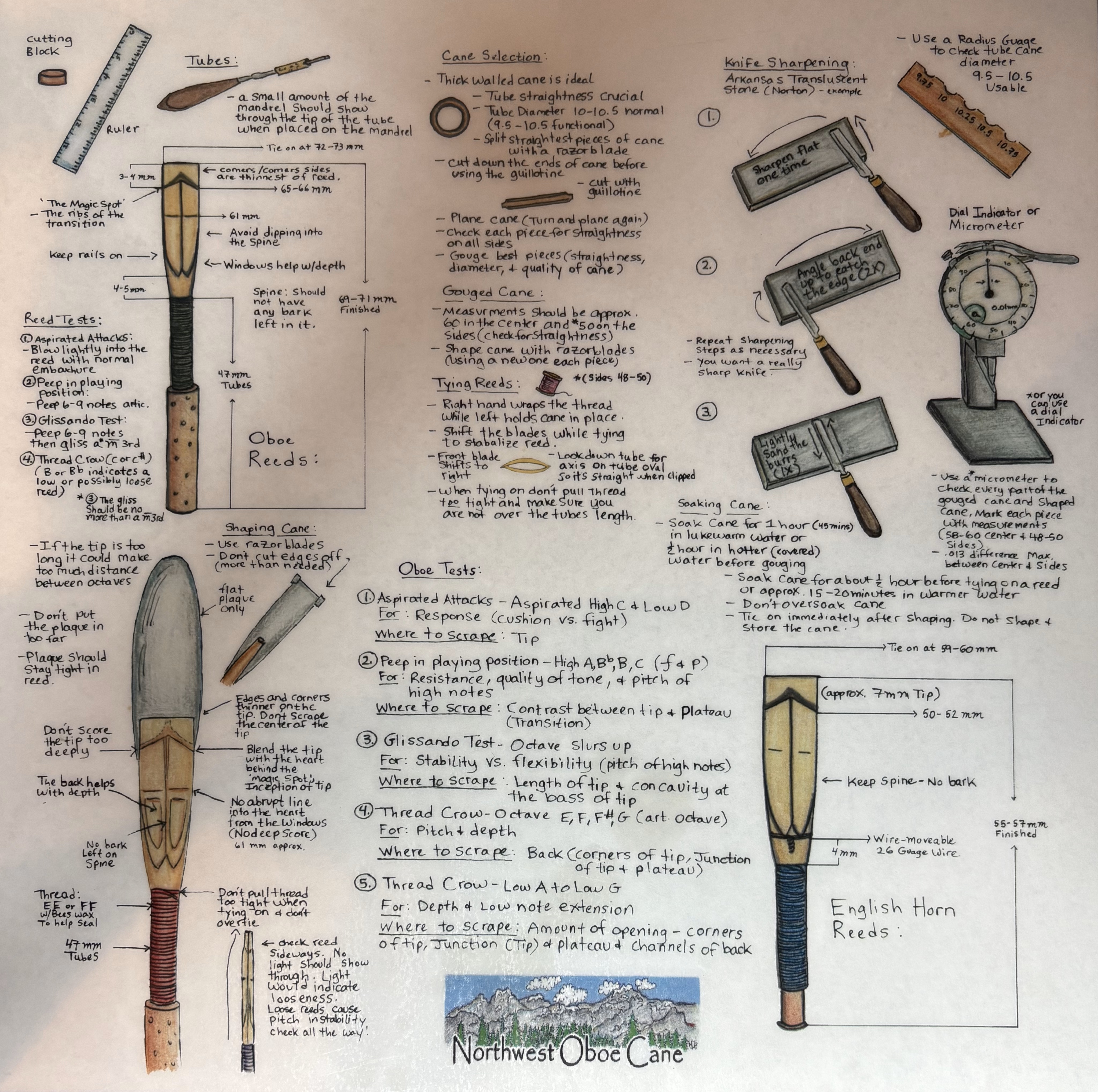 Oboe Reed Infographic